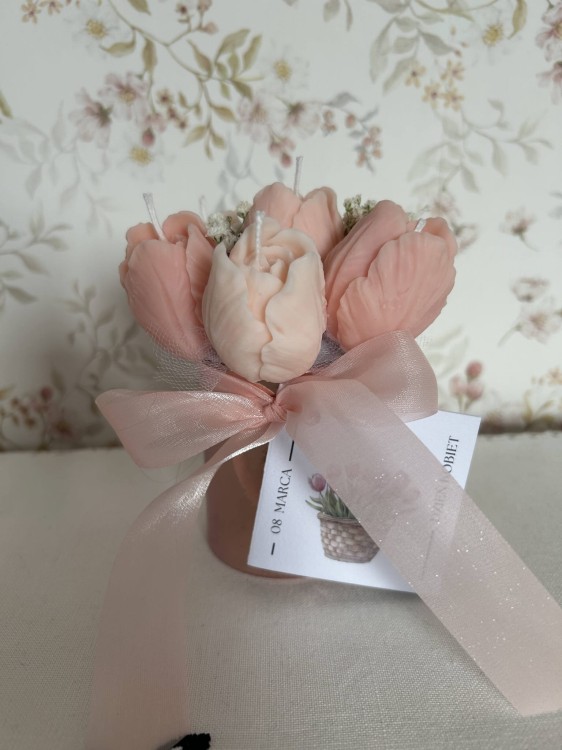flowerbox_tulip4.JPG